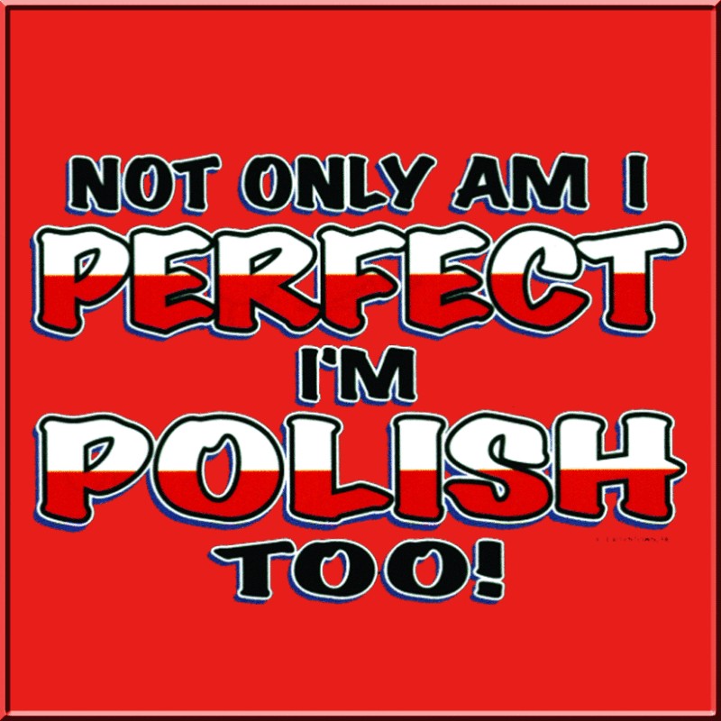 Not Only Am I Perfect Im Polish Too Shirt S 2X,3X,4X,5X  