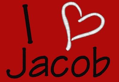 Love Heart Jacob Twilight New Moon Red Tee T Shirt  