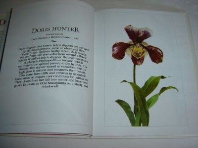 Book of Orchids   by Carl Withner   illust/ Juan Vela  