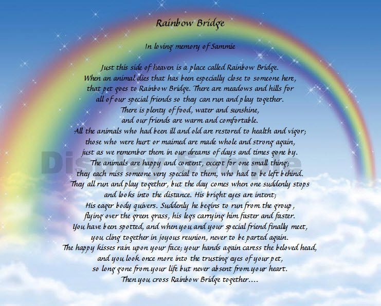 Rainbow Bridge Poem Personalized Memorial Loss Of Pet On Popscreen