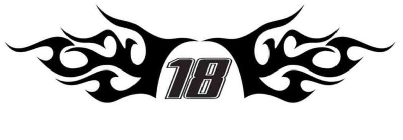 Kyle Busch 18 tribal 24 nascar vinyl decal sticker  