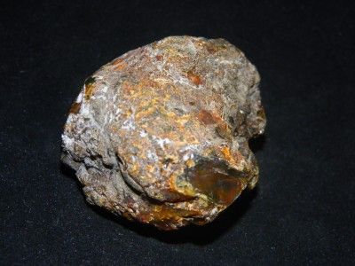 Dominican,Amber,BlueGreen,Rough,Real,Stone,Nuggets,52grams,260ct,with 