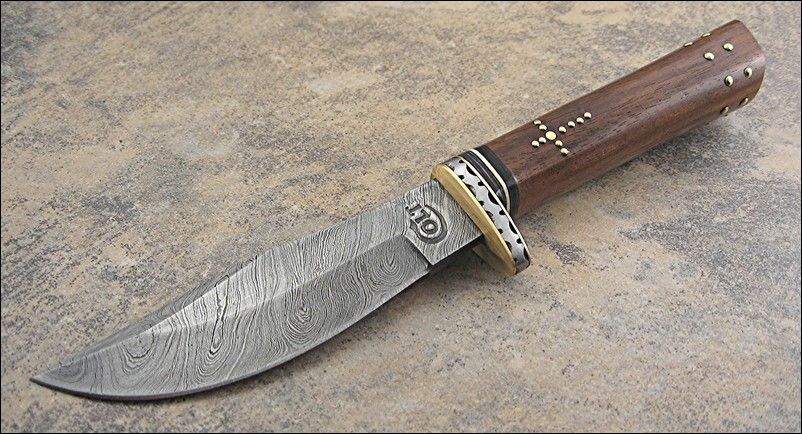 Colt Genuine Damascus Brown Wood Hunter Knife NEW  