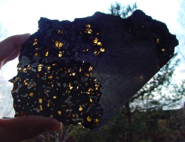 GEM LIKE OLIVINES METEORITE PALLASITE SEYMCHAN SLICE  