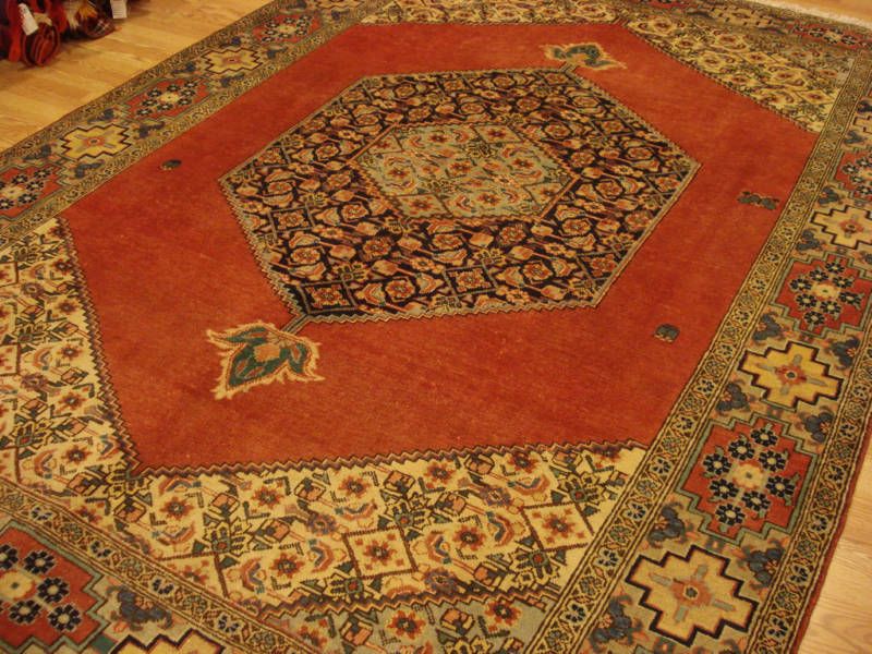 Caucasian Bidjar Herati Diamond Open Ardabil rug 8x11  