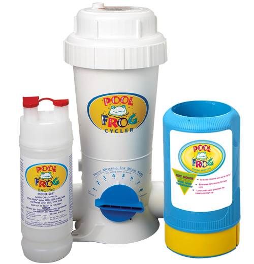 POOL FROG ® Purification System 5430 In Ground Pool  