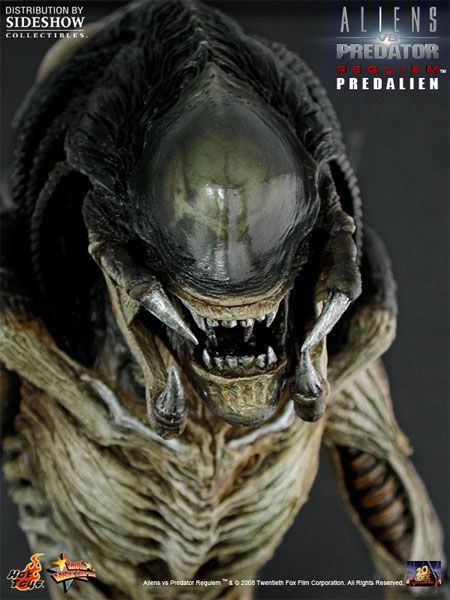 HOT TOYS AVP REQUIEM PREDALIEN 16 Scale Figure NEW  