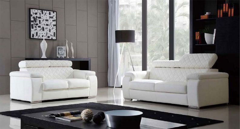 2pc Contemporary Modern Leather Sofa Set, DS COC S2  