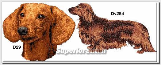   dachshund items in our store important information colors available