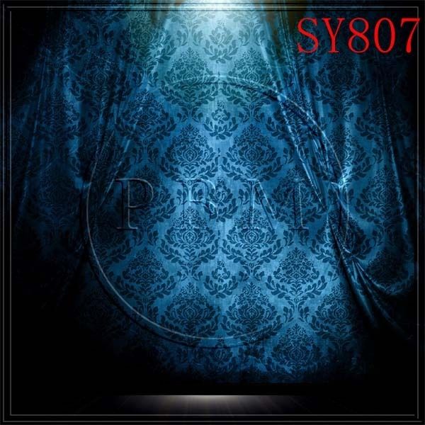 INDOOR 8x8 CP SCENIC PHOTO BACKGROUND BACKDROP SY807  