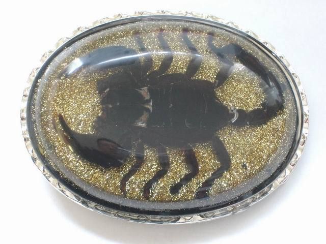 Real insect Belt Buckle   Black Scorpion Buckle  