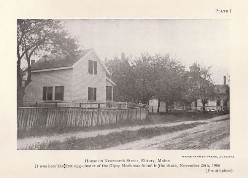 Report Of The State Board Of Agriculture Of Maine 1907   A. W. Gilman 