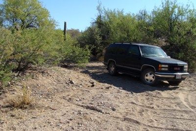 Giant Saguaros guard the treasures on the claim. These stately 