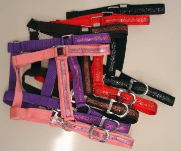 SADDLE NYLON HORSE DRAFT HALTERS SET OF 5 COLORS SET  