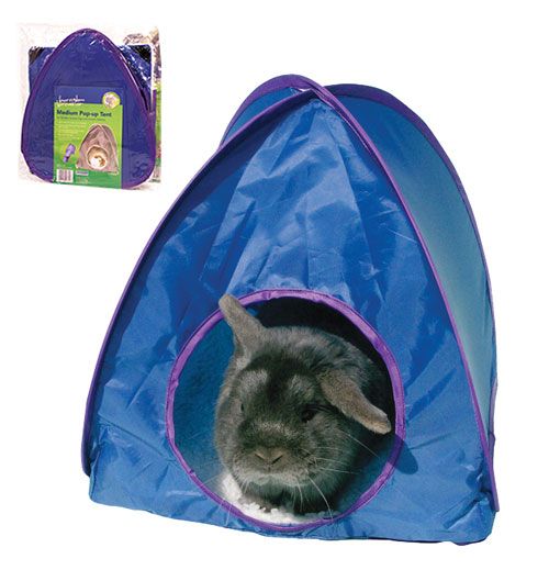 Ferrets RABBITS Guinea Pigs Activity TUNNEL Pop Up TENT  