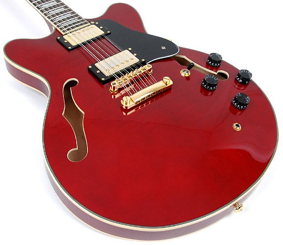 Agile AS 820 12 String Wine Red Semi w/EGC Case  