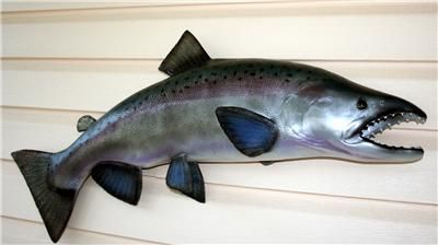 NEW XXL Steelhead Rainbow Trout Replica MOUNT 36 inch  